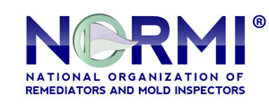 Normi Logo