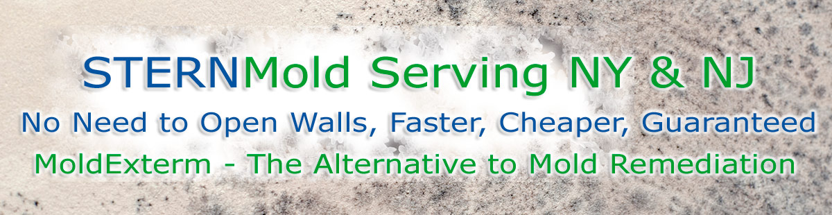 Stern Mold 888-887-8376, no need to open walls, faster, cheaper, guaranteed. MoldExterm - the alternative to mold remediation.