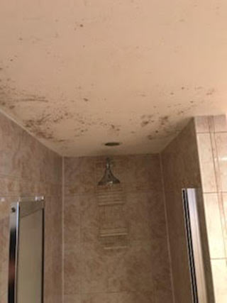 Before: Basement bathroom ceiling covered in mold in Hempstead, New York